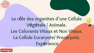 Cellule végétale et Cellule Animale et Les colorants Vitaux et Non Vitaux  GuilMini [upl. by Nylahs]