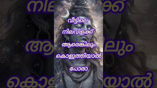 വീട്ടിലെ നിലവിളക്ക് ആരെങ്കിലും കൊളുത്തിയാൽ പോരാ shortsfeed shorts astrology [upl. by Wistrup]