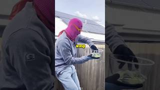 This Guy Used Gasoline to Remove Wasp Nest willkofficial [upl. by Ymij]