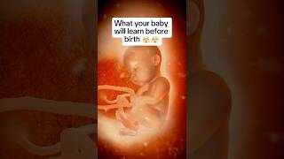 🤯🤯What Your Baby Already Knows By Birth [upl. by Ehtyaf]