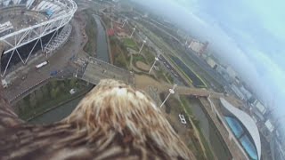 Awesome Action Cam footage shows eagle flying over city of London [upl. by Reina207]