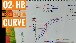 O2Hb Dissociation Curve  Bangla Demonstration of OxygenHemoglobulin Dissociation Curve [upl. by Ivett]