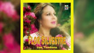 Flor Silvestre  La Ignacia Visualizador Oficial [upl. by Moscow639]