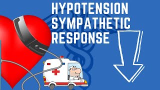 Hypotension  Sympathetic Response [upl. by Navonoj]