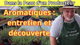 Plongée dans le tunnel des aromatiques  tour hebdomadaire et conseils dentretien [upl. by Randie]