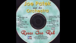 EthnoAmerican CD recordings in the US 2001 LoneStar 8006 Roses are Red Joe Patek lemkovladek [upl. by Morlee]