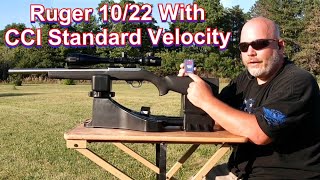 Ruger 1022 Target Rifle Ammo Test CCI Standard 22lr with a Rifle Rest Take Two [upl. by Jaymee126]