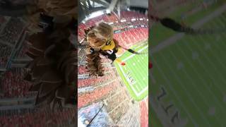 Highest Rope Swing Drop 😳 atlantafalcons [upl. by Nahrut]