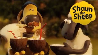 Shaun the Sheep Full Episode The Coconut El Coco nuts adventure  cartoon for kids [upl. by Wilkie]