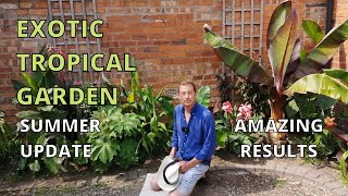 Exotic Tropical Garden Tour Banana Plants canna tetrapanax ginger crinum colocasia [upl. by Cooperman55]