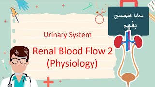 Renal blood Flow PART 2  Physiology هتفهم كل كلمة [upl. by Sandon]