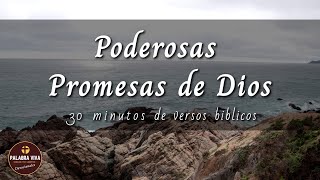 Promesas de Dios que cambiarán tu vida  30 min de versículos bíblicos para motivarte  La Biblia [upl. by Mathia]