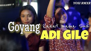 LAGU ACARA PARTY TERBARU ‼️ AJE GILE ‼️2024 [upl. by Ennaeel28]