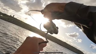 Surprising catches on Ultralight gear  Superlight Shore Jigging  NSW Australia [upl. by Anilecram]