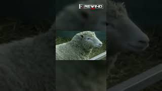 July 5 1996 Dolly the Sheep Was Born  Firstpost Rewind [upl. by Ovatsug]