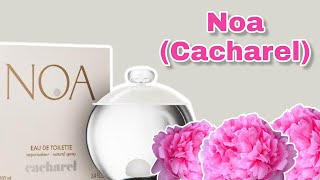 PERFUME NOA  CACHAREL  RESENHA [upl. by Rramel]