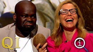 QI Series 19 Random  With Bill Bailey Daliso Chaponda amp Sally Phillips [upl. by Rehpatsirhc]