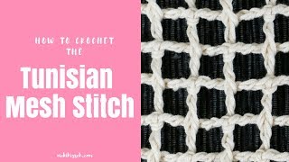 How to work the Tunisian Crochet Mesh Stitch [upl. by Innaig]