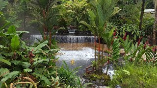 Arenal Costa Rica  Must see Tabacon Hotsprings Resort and Spa [upl. by Gisser193]