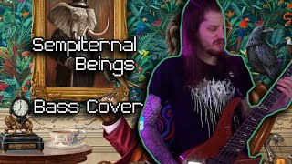 Sempiternal Beings  Haken Bass Cover [upl. by Nosyaj]