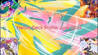 Harpie Deck Profile June 2024 Timestamps in Description [upl. by Arimas]