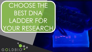 How to Choose the Best Goldbio DNA Ladder for Your Research [upl. by Marvin]