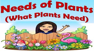 Needs of Plants  What Plants Need  Science  Kindergarten  Teacher Beth Class TV [upl. by Nesahc]