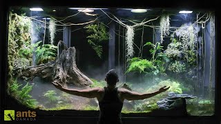 I Built a Giant Cloud Rainforest Vivarium [upl. by Moser145]