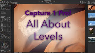 Capture One Pro  All About Levels [upl. by Ennayhc583]