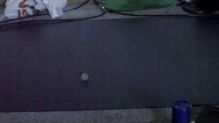 worlds longest coin spin attempt2257sec [upl. by Sitnik853]