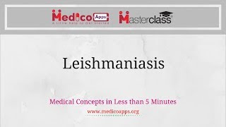 Leishmaniasis [upl. by Avaria]