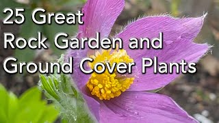 25 Rock Garden Plants  Easy Care Low Growing Plants and Ground Covers [upl. by Cianca986]