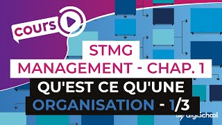 Chapitre 1  Quest ce quune organisation 13  Management Bac STMG  digiSchool [upl. by Legin900]