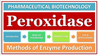 PEROXIDASE ENZYME  ROLE amp FUNCTION  PRODUCTION  ISOLATION  MICROBIAL ENZYME  APPLICATION [upl. by Ennayt]