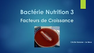 Bactérie Nutrition 3 FACTEURS DE CROISSANCE [upl. by Alyakim]