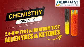 2 4 DNP Test  Iodoform Test  DNPH  Aldehydes amp Ketones  CBSE 12 ChemistryNEETJEE Video Lecture [upl. by Cosetta]