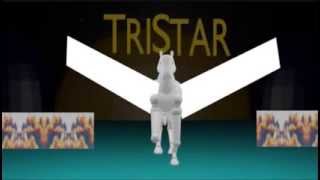 TriStar Pictures Logo 1993 with Sony Pictures Entertainment byline [upl. by Jecon]