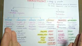 parasitology basics  Parasitology introduction microbiology [upl. by Ylliw616]