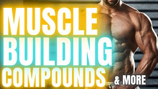 Muscle Builders Vitamin D Ashwagandha GDAs amp More with Lucas Aoun [upl. by Alton]