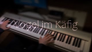 Vogel im Käfig  AOT  Best Part Piano [upl. by Aleece]