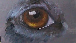 PAINTING TUTORIAL Dog Eye  Lysa Roberts Art [upl. by Bores655]