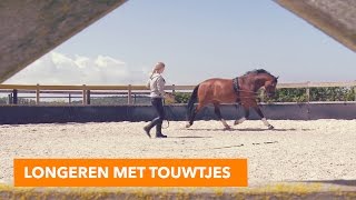 Longeren met touwtjes  PaardenpraatTV [upl. by Tisbe]