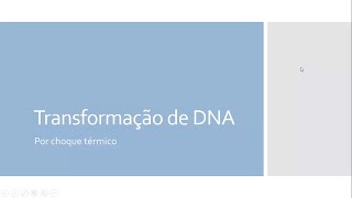 Transformação de DNA em bactéria [upl. by Annay]