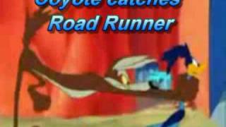 Coyote catches Road Runner [upl. by Aerdnas]