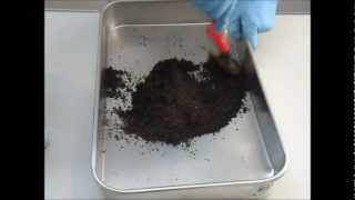 CorkSorb granules G01006 applicationwmv [upl. by Nonnek441]