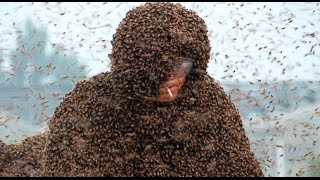 Bee Attacks  6 UnBEElievable Stories  ABC News Remix [upl. by Pazia]