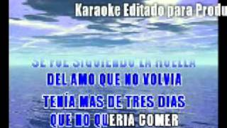 Corriente y Canelo Pedro Fernandez karaoke [upl. by Gal739]