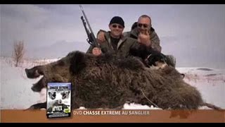 Reportage de Chasse extreme au sanglier en Turquie Sus scrofa attilathe wild boar hunting in Turkey [upl. by Nrevel]