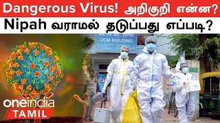 Nipah Virus Symptoms  பழம் சாப்பிடும் போது உஷாராக பாருங்க தடுப்பது எப்படி [upl. by Ayalat162]