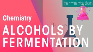 Making Alcohols By Fermentation amp From Ethane  Organic Chemistry  Chemistry  FuseSchool [upl. by Trocki392]